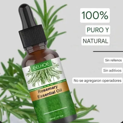 Aceite de Romero | ¡Despídete de la caída del cabello!